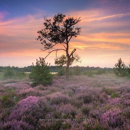 Natuurhuisje Oisterwijk Villa Екстериор снимка