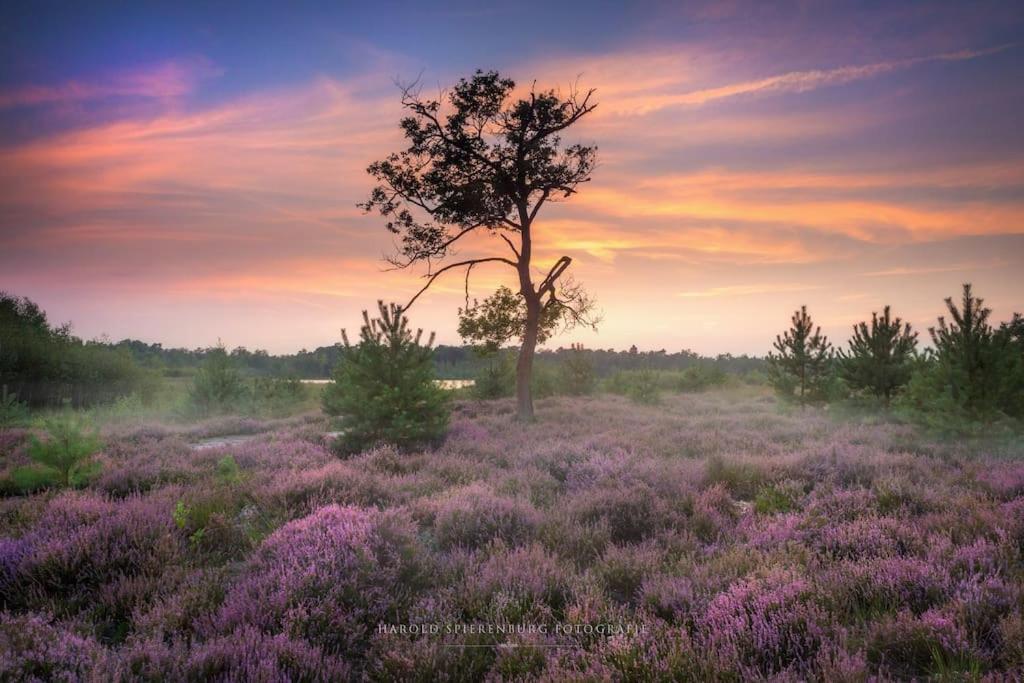 Natuurhuisje Oisterwijk Villa Екстериор снимка