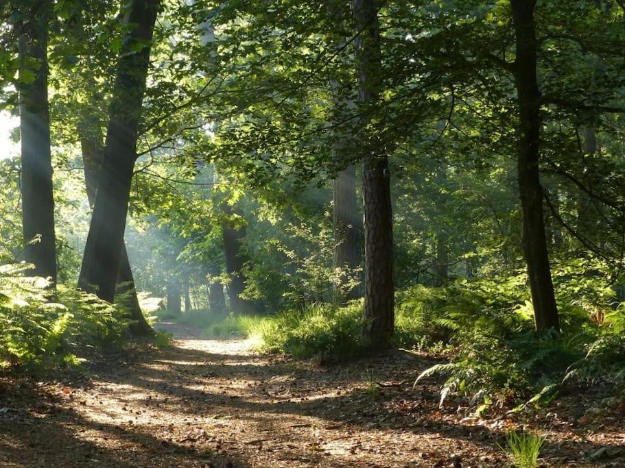 Natuurhuisje Oisterwijk Villa Екстериор снимка