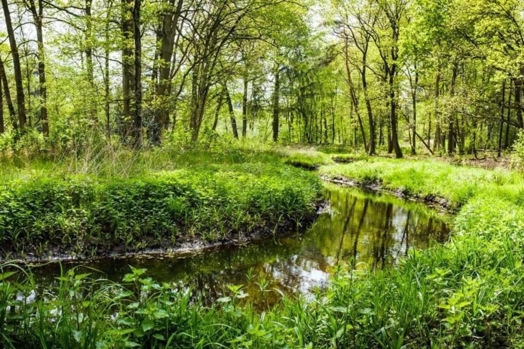 Natuurhuisje Oisterwijk Villa Екстериор снимка