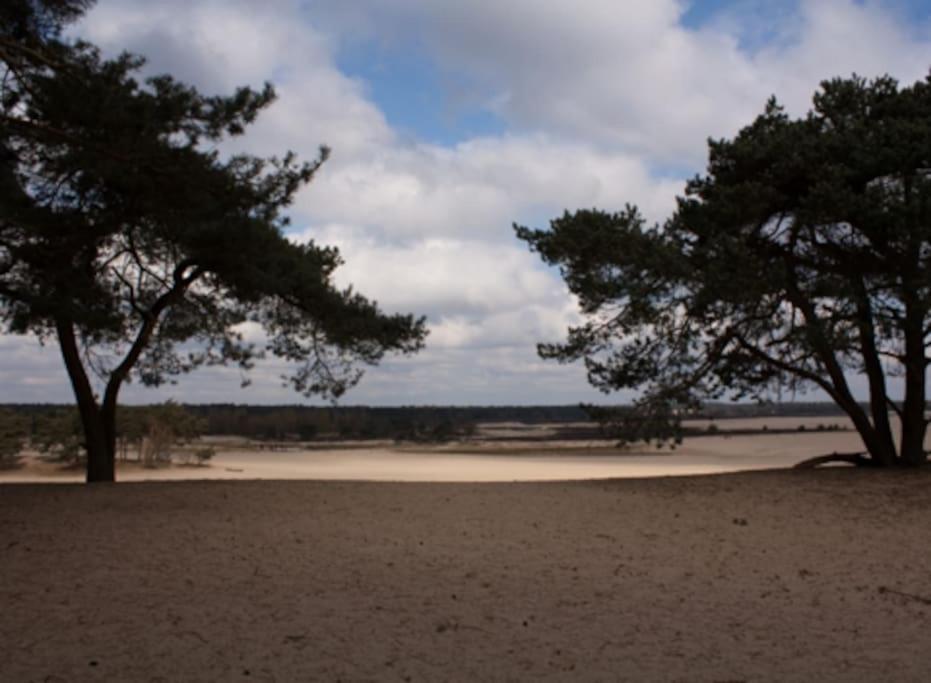 Natuurhuisje Oisterwijk Villa Екстериор снимка